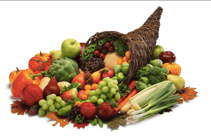 Thanksgiving & Nutrients