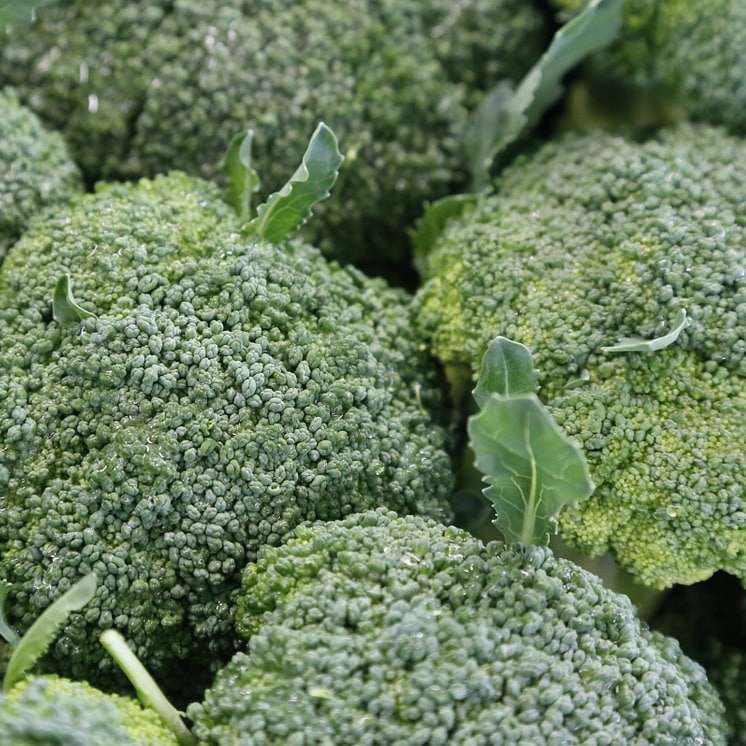 All About: Broccoli