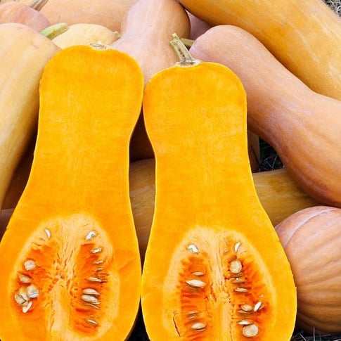 All About: Butternut Squash