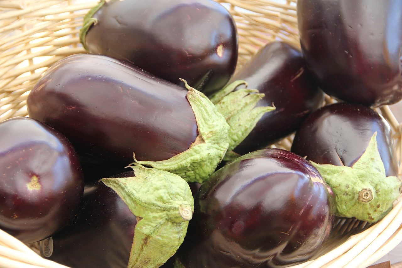 All About: Eggplant