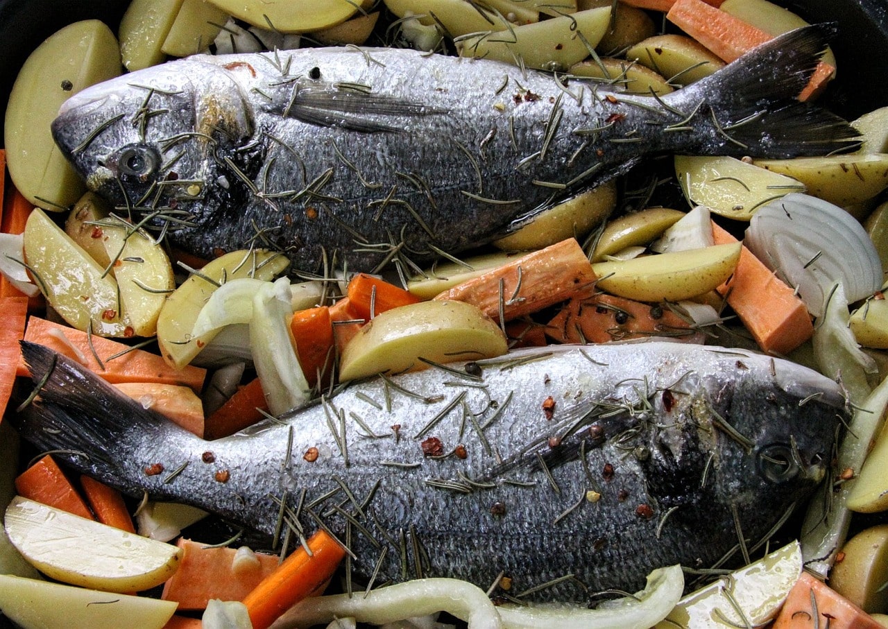 Blog: Don't Fear the Fish