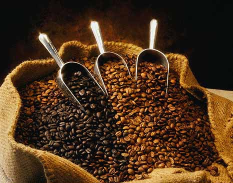 A Cupping at Stumptown